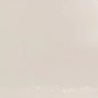 Beatrice Slingback Pumps