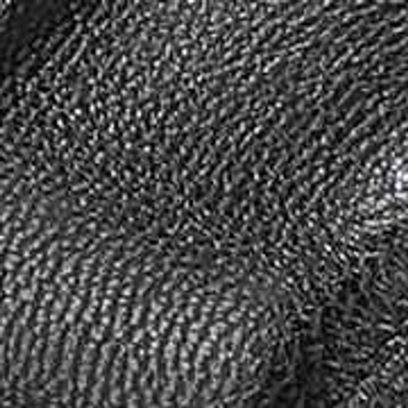 Ashland 2 Block Heel Sandal