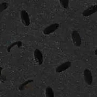 Forsythia Lace Up Sneaker