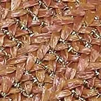 Beachy Slingback Sandal