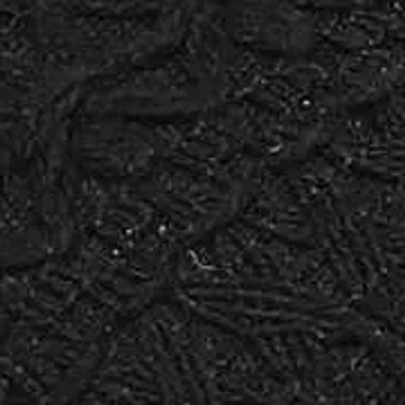 Patience Espadrille Wedge Sandal