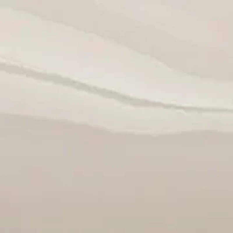 Angel Slingback Pumps