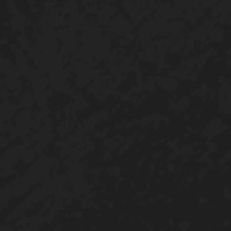 Trish Slip On Sneaker