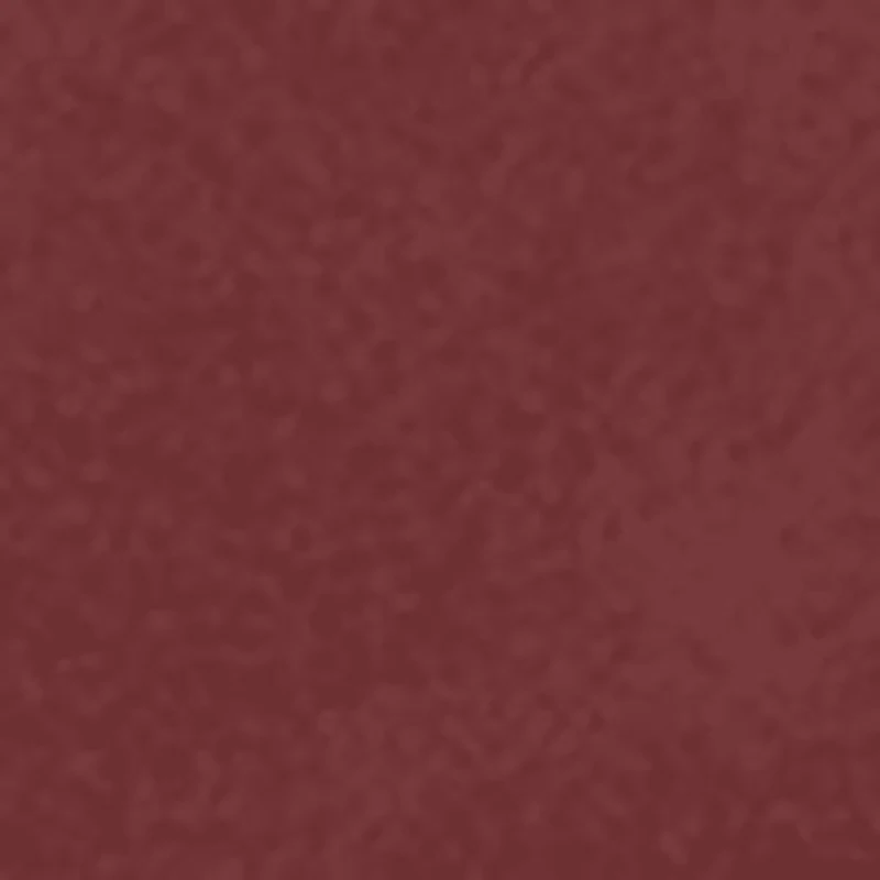 Trish Slip On Sneaker