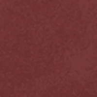 Trish Slip On Sneaker