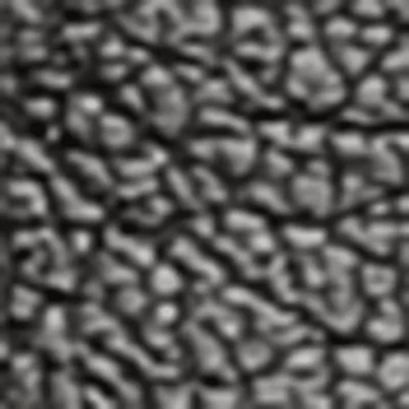 Harmony Mary Jane Flat