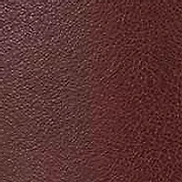 Isabeau Knee High Boot