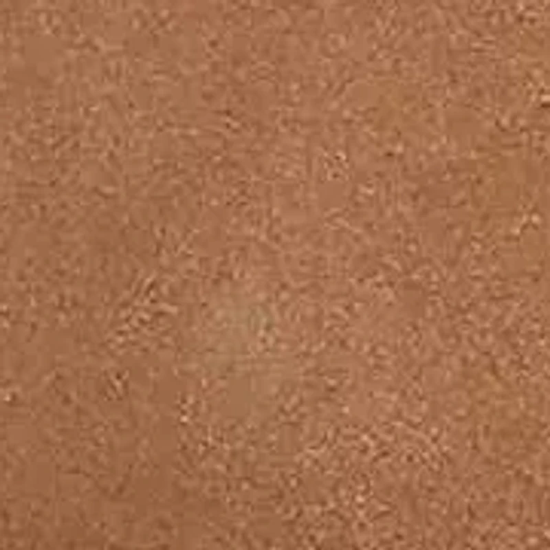 Shawna Platform Loafer