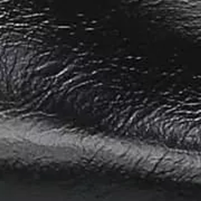 Hattie Strappy Dress Shoe