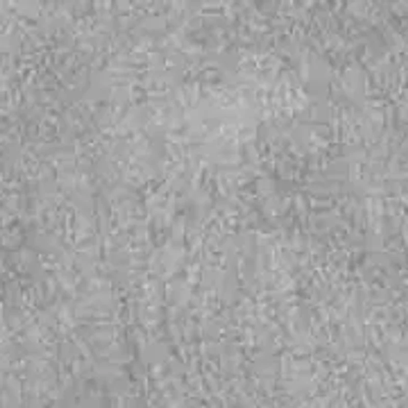 Patricia Lace-Up Sneaker