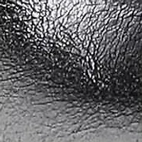 Hollis Strappy Sandal