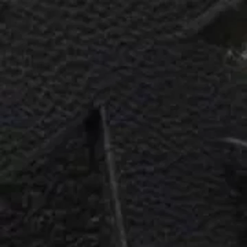 Vayla Block Heel Sandal