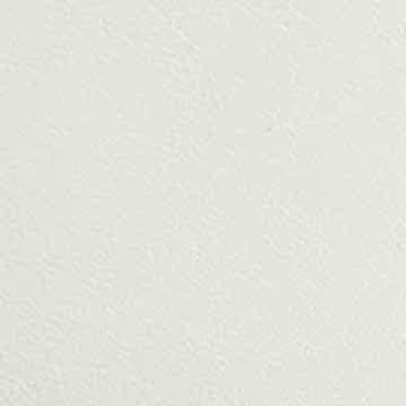 Leopard Backtab Leather and Suede Sneaker