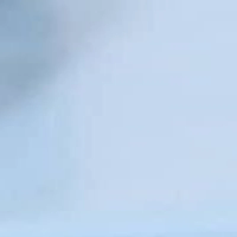 Garden, Birdcaged Rhinestones Metal Heel Slide