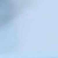 Garden, Birdcaged Rhinestones Metal Heel Slide