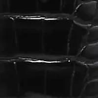 Lux, Knee Length Croco Boot