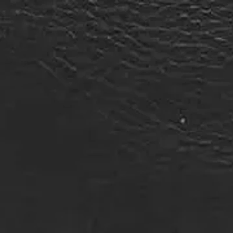 Terry, Metal Trim Ankle Bootie