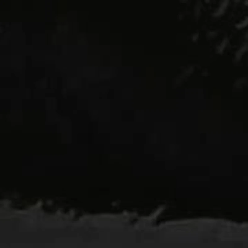 Holly, Block Heel Sandal