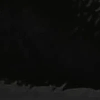 Holly, Block Heel Sandal