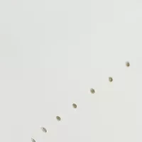 Elia Perforated Sneakers