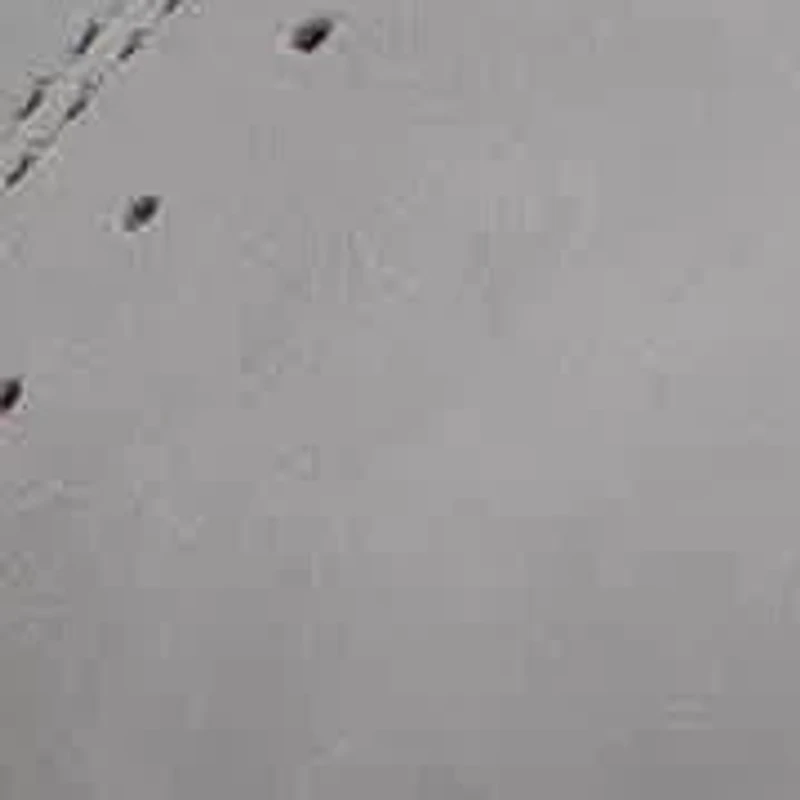 Women's Legacy Sneakers