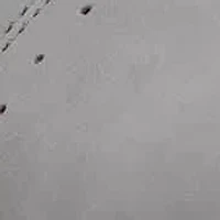 Women's Legacy Sneakers