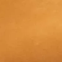 Women's Clove Fur Boot