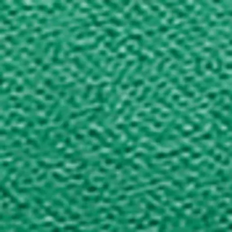 Time Off Win Sneaker