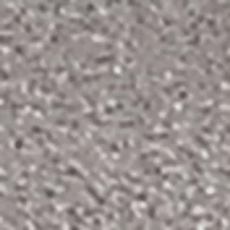 Women'S Wexley Mary Jane Ballet Flat