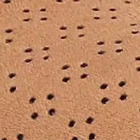 Women'S Wexley Mary Jane Ballet Flat