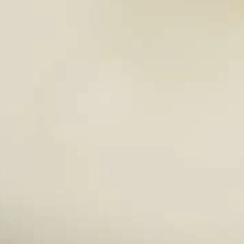 So Original Slide Sandal