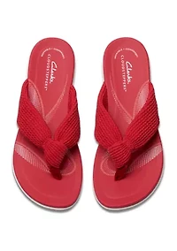 Breezerae Erin Flip Flop Thong Sandals