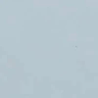 Franco Felina Slip On Sneaker