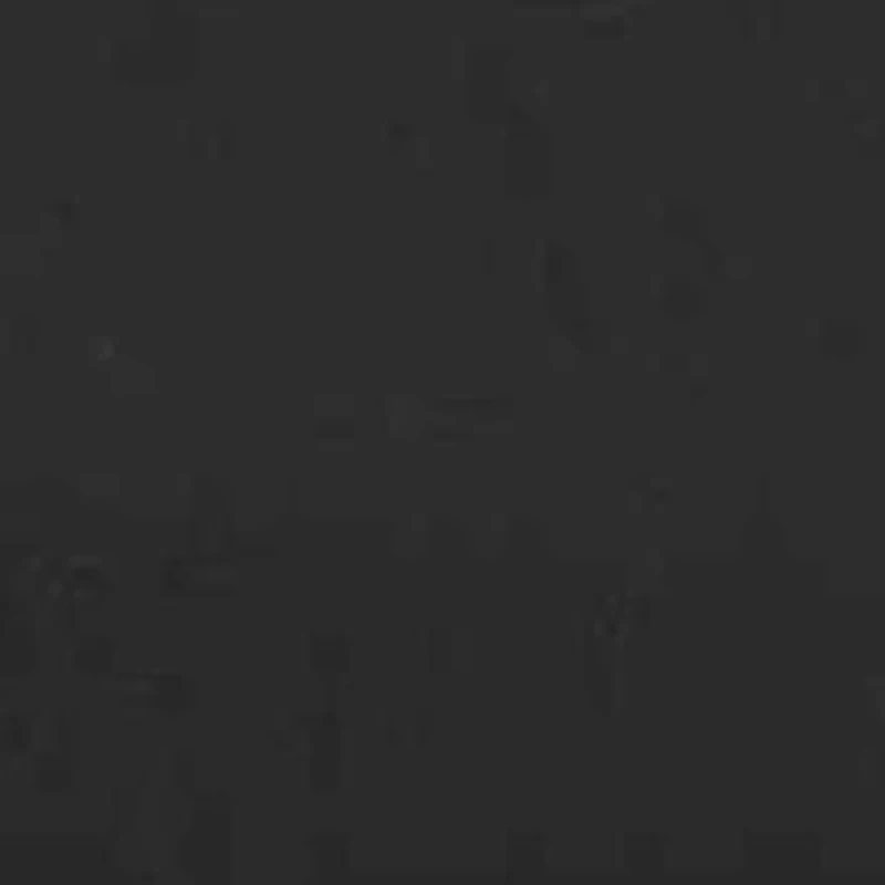 Franco Felina Slip On Sneaker