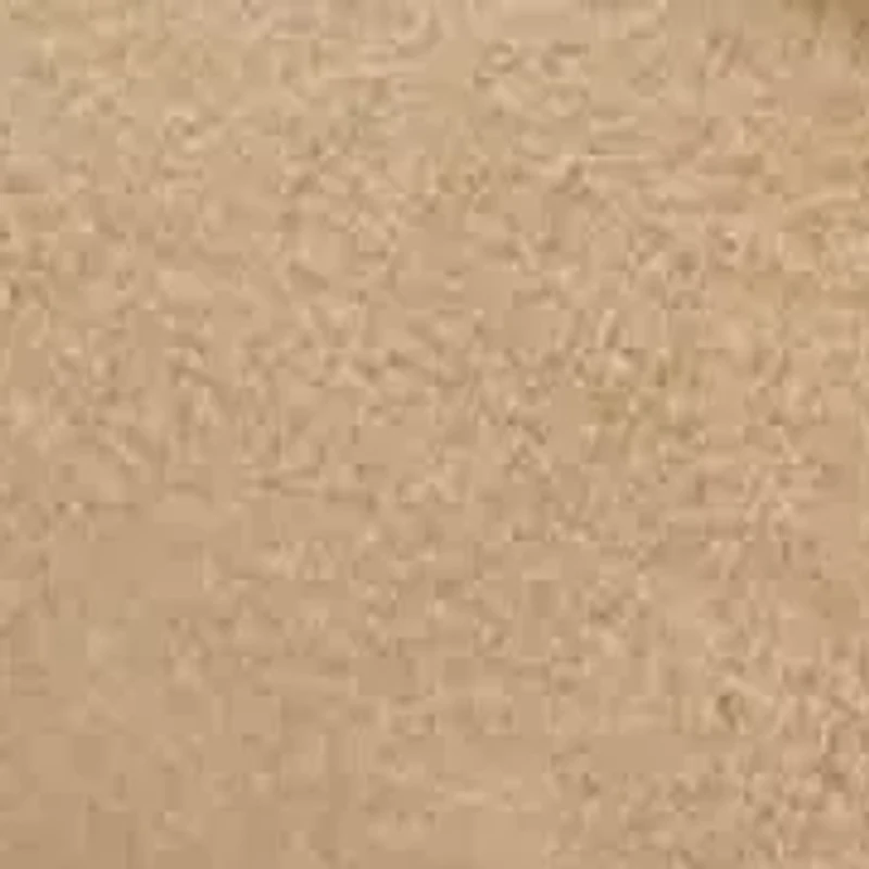 Franco Carita Tassel Loafer