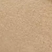 Franco Carita Tassel Loafer