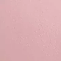 Franco Julissa Pointed Toe Pump