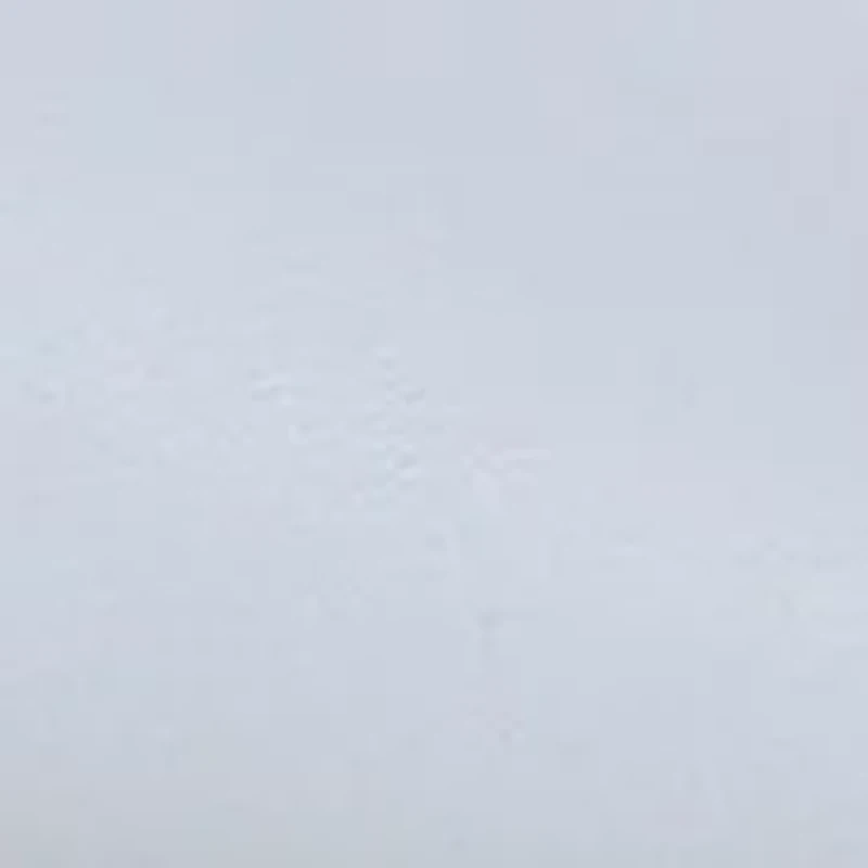 Pura Slingback Kitten Heels