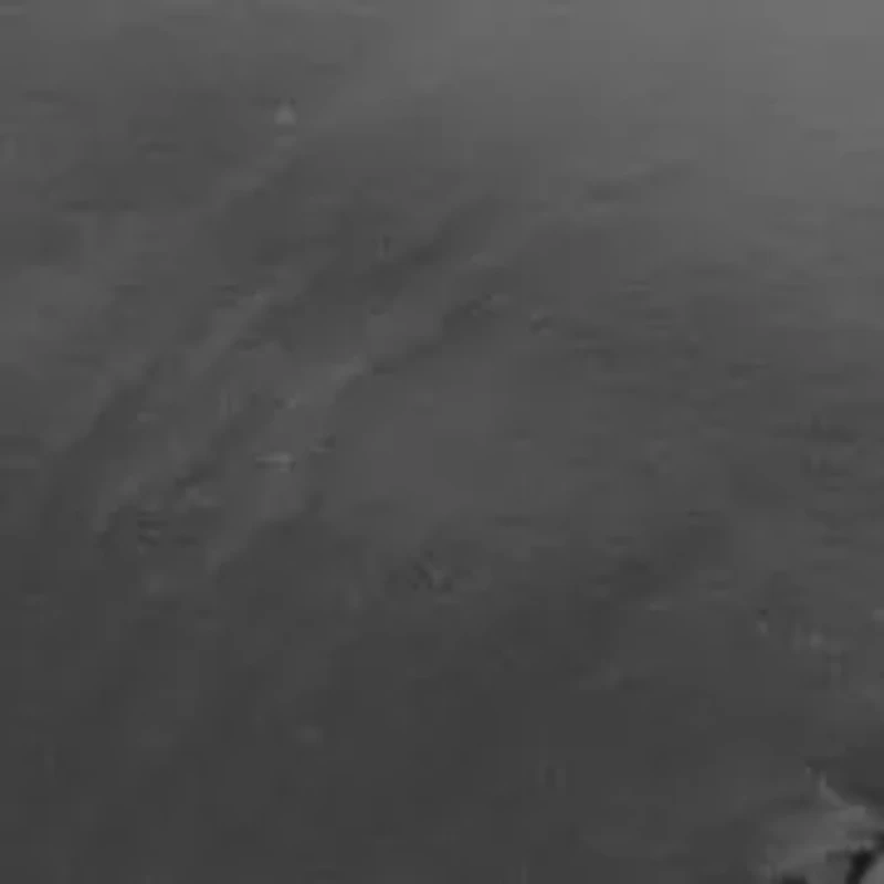 Romi Metallic Sandal