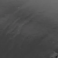 Romi Metallic Sandal