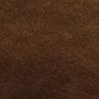 Lisbeth Leopard Mesh Mules