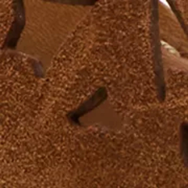 Sunkissed-Perforated Sandals