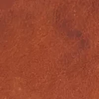 Ivy Low Lace Sneakers