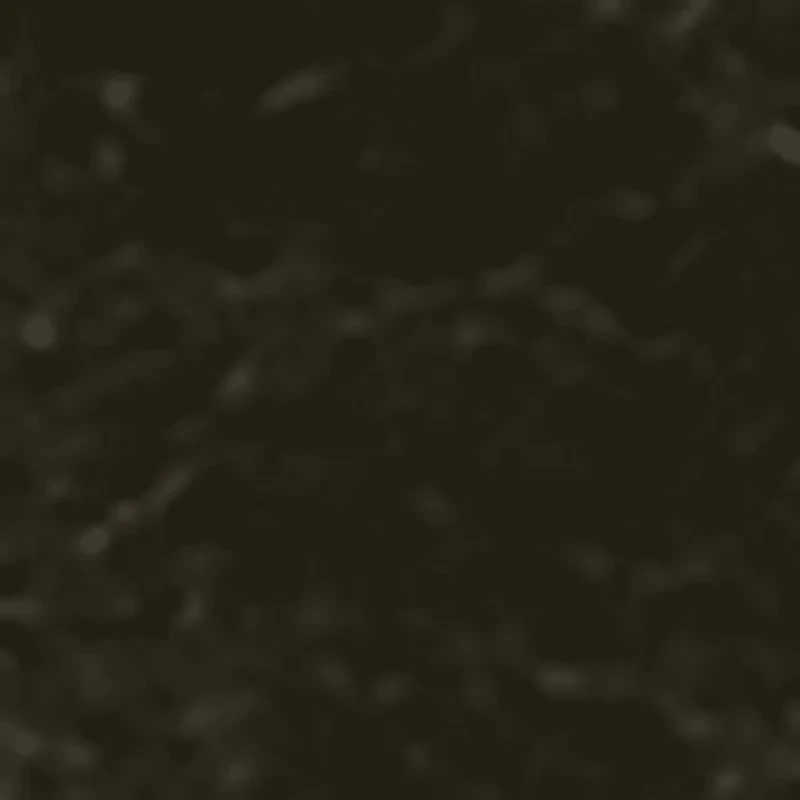 Sylvia Knee High Boot