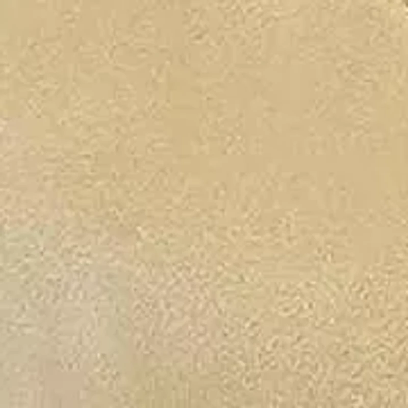 Esmira Pointed Toe Ballet Flat