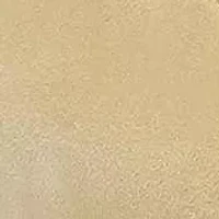 Esmira Pointed Toe Ballet Flat