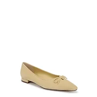Esmira Pointed Toe Ballet Flat