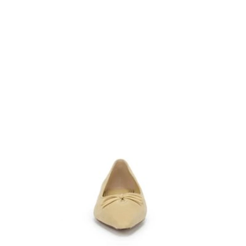 Esmira Pointed Toe Ballet Flat