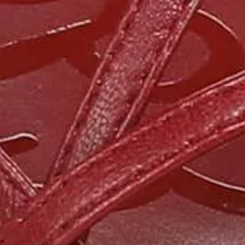 Cora Kitten Heel Sandals