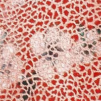 Harley Leather Footbed Sandal